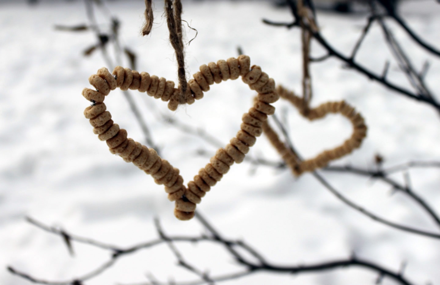 Valentine's Day Events