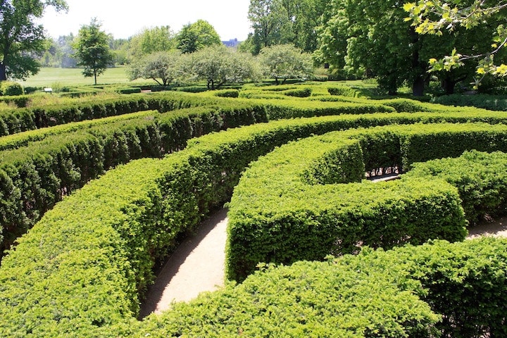 morton arboretum maze aerial view