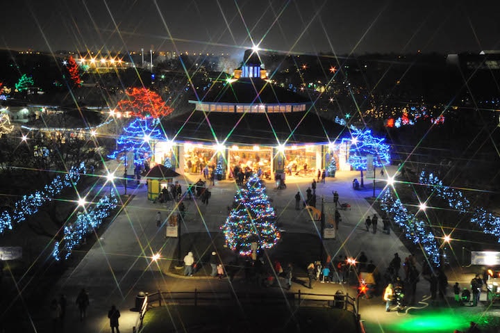 Brookfield Zoo is all lit up for its annual Holiday Magic.