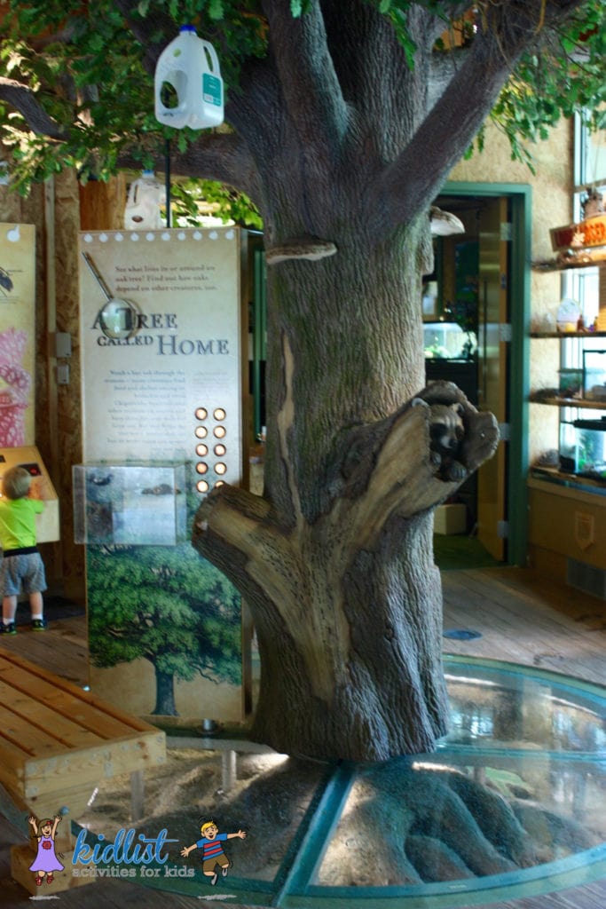 Large model of a tree with animal habitats