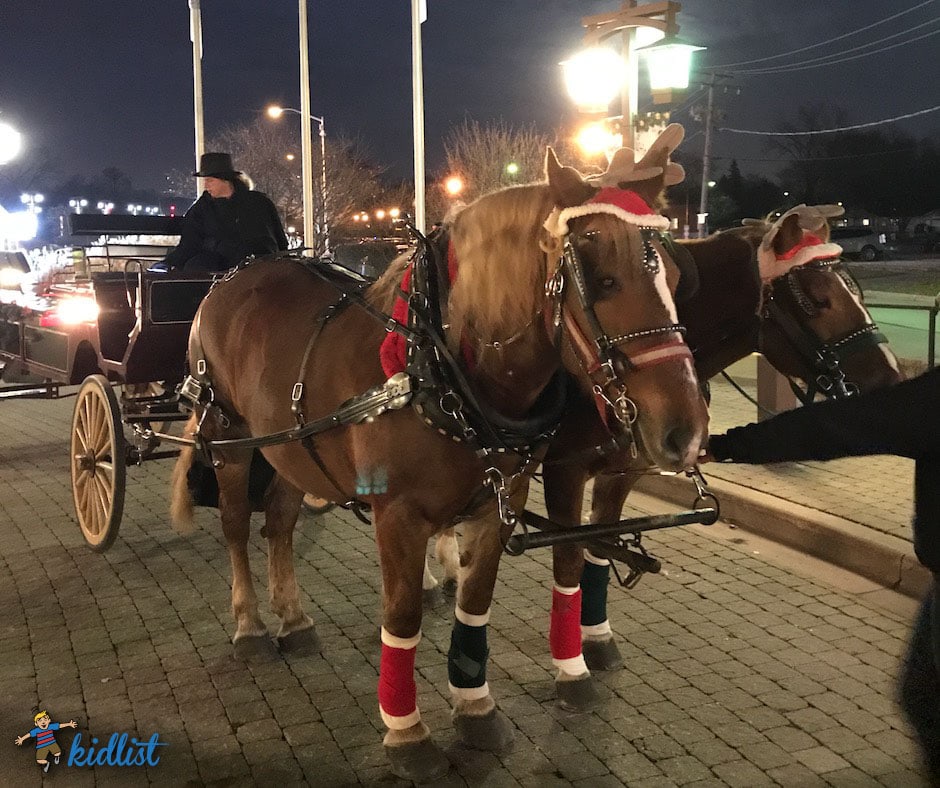 Horses pulling a carriage so families can take carriage rides