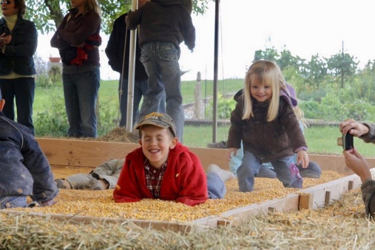 Our Easy Fall Outing to The Children's Farm in Palos Park