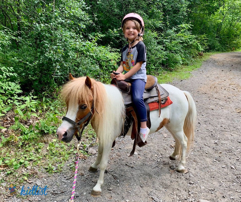 6 Spots to Find Pony Rides Near Chicago