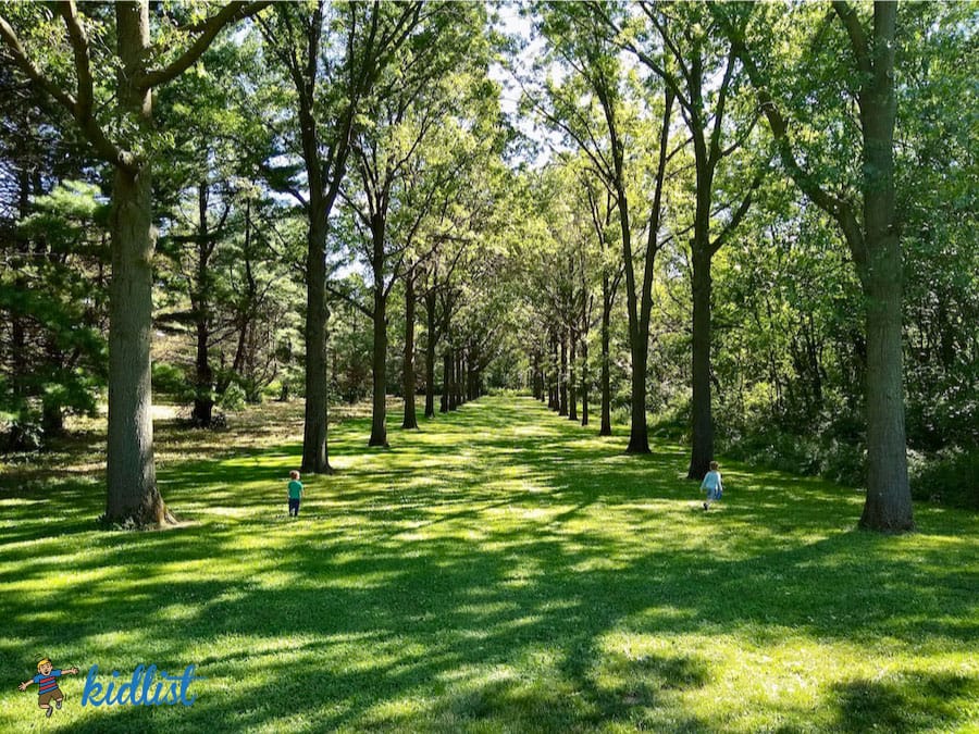 Shady tree-lined avenue at St. James Farm in Warrenville.