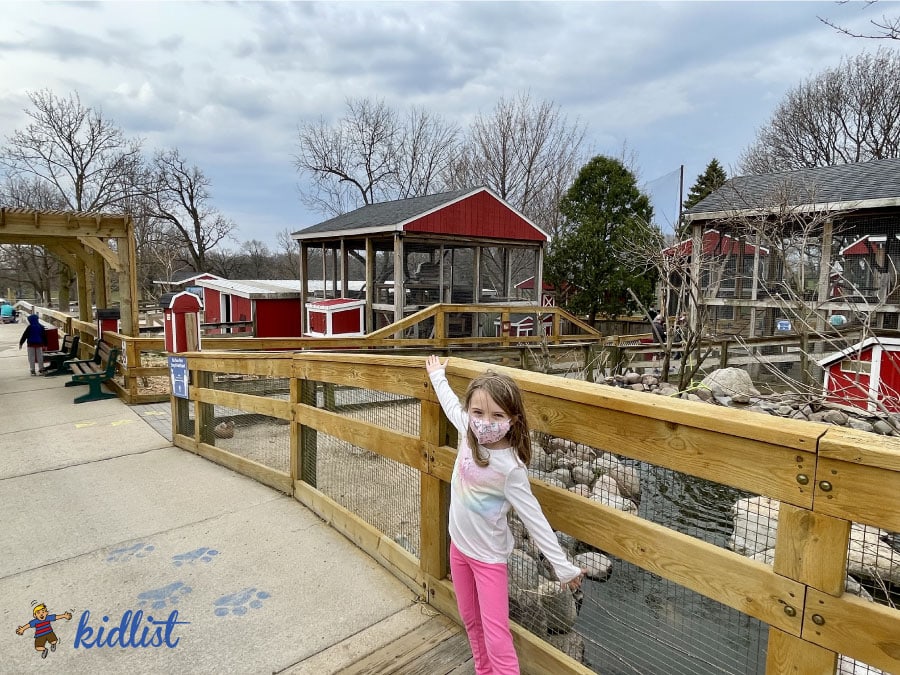 A Trip to the Interactive Randall Oaks Zoo in West Dundee