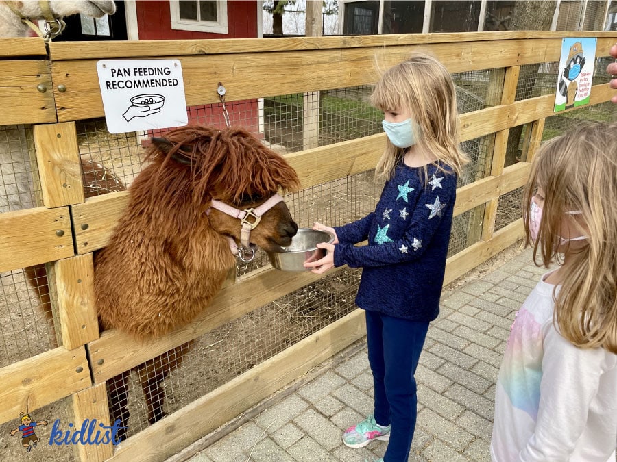 Insider Guide to Randall Oaks Zoo in West Dundee