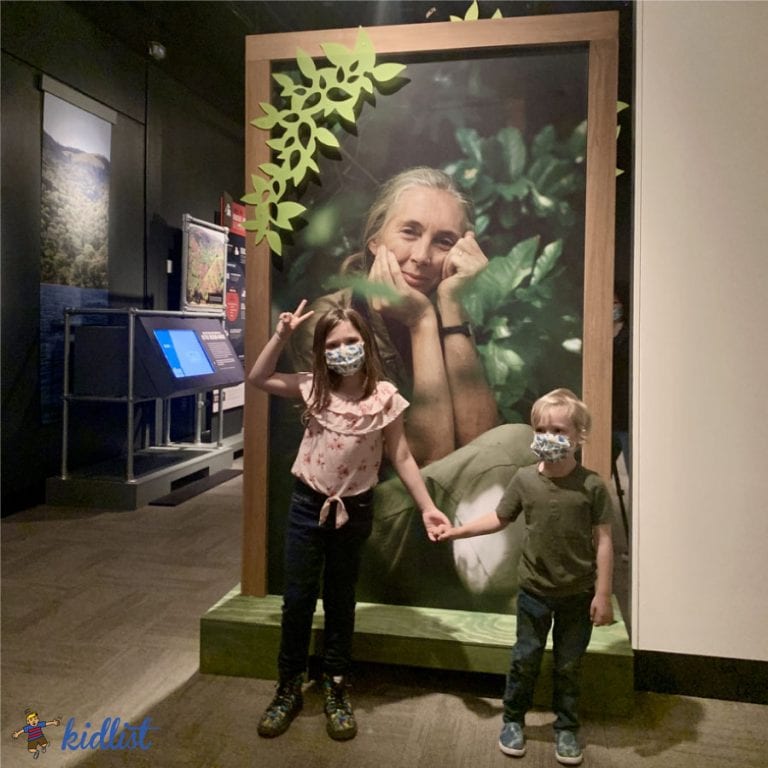 The New Jane Goodall Exhibit + Tips for Visiting Chicago's Field Museusm