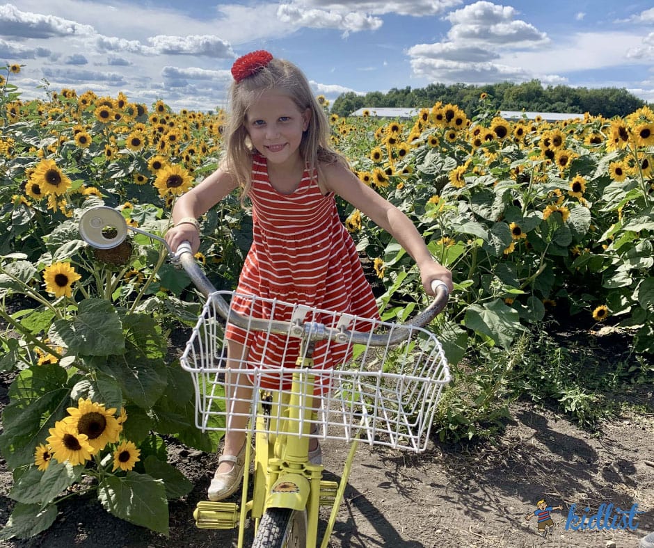 Young girl posing for a photo on a vintage bike in a sunflower field