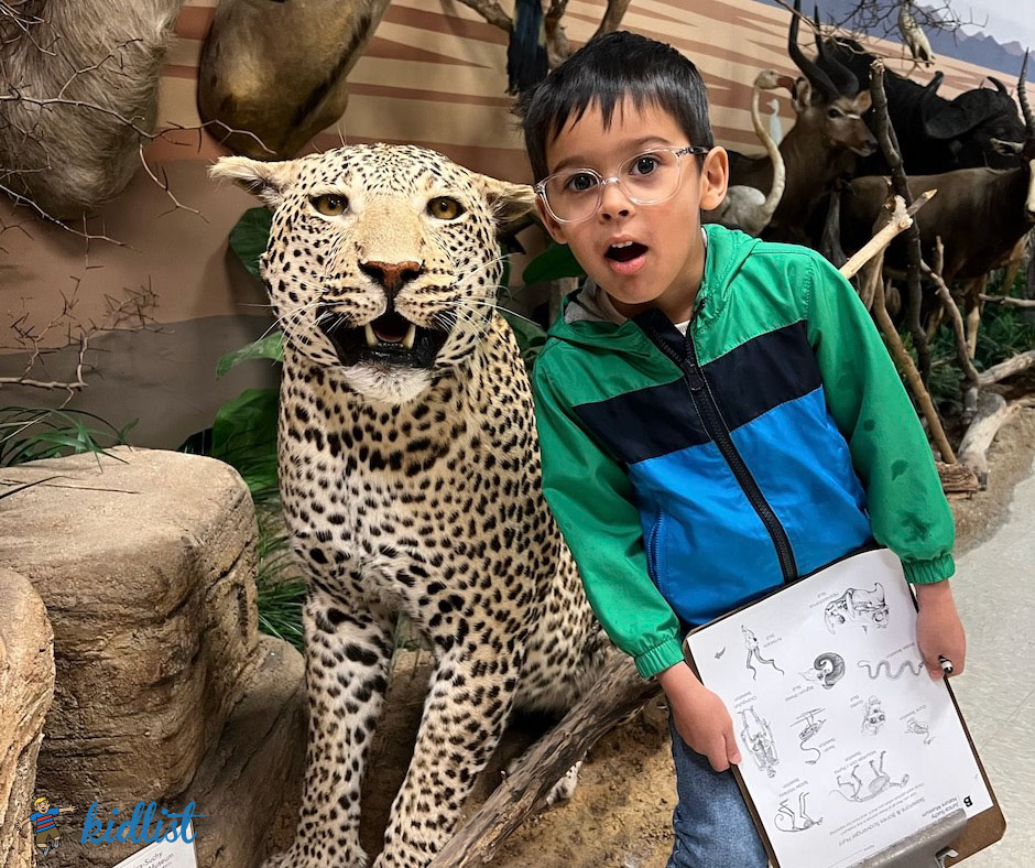 Boy with a surprised face next to a taxidermied leopard.
