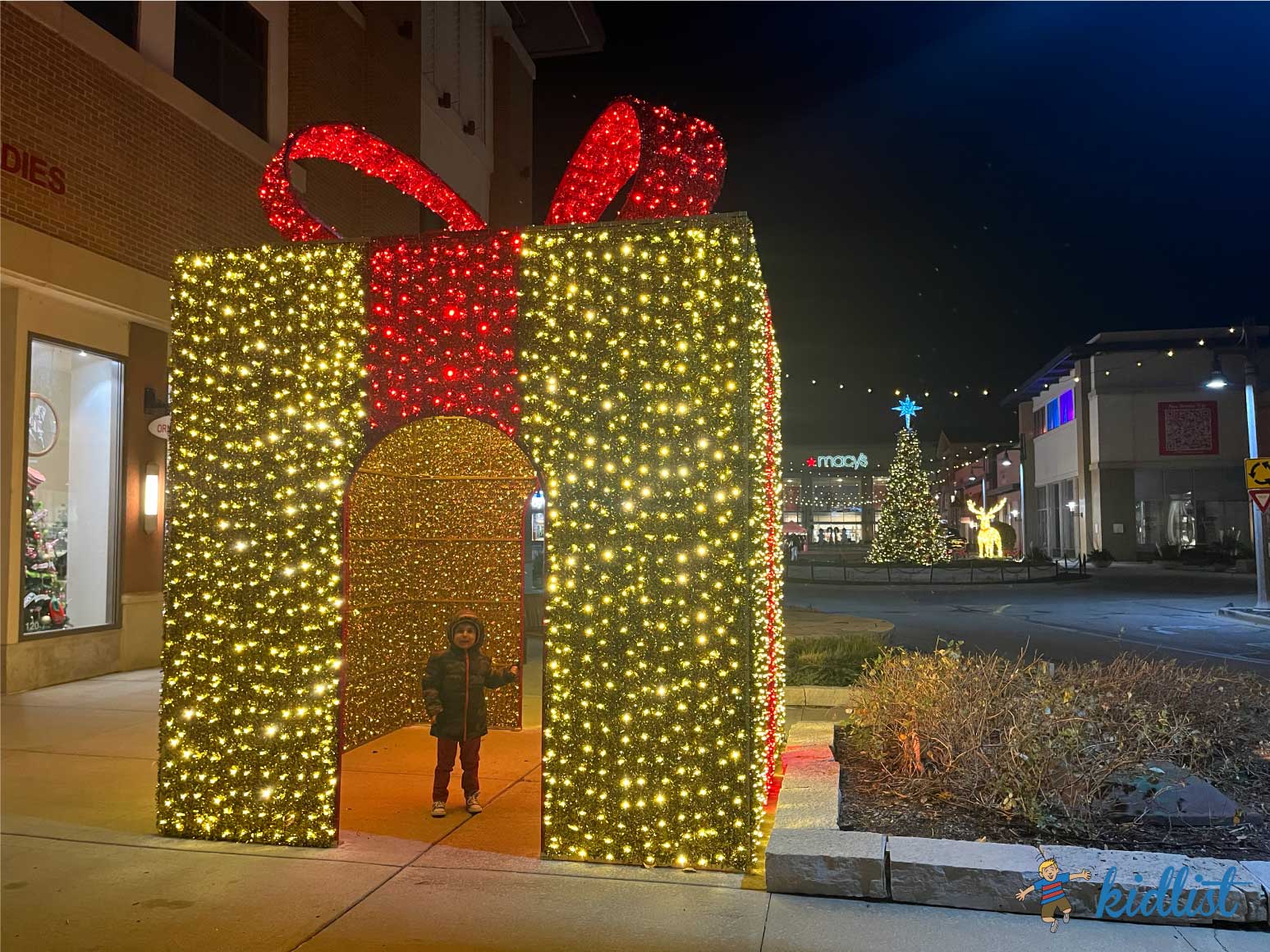 Find a Magical WalkThrough Christmas Light Show Near Chicago