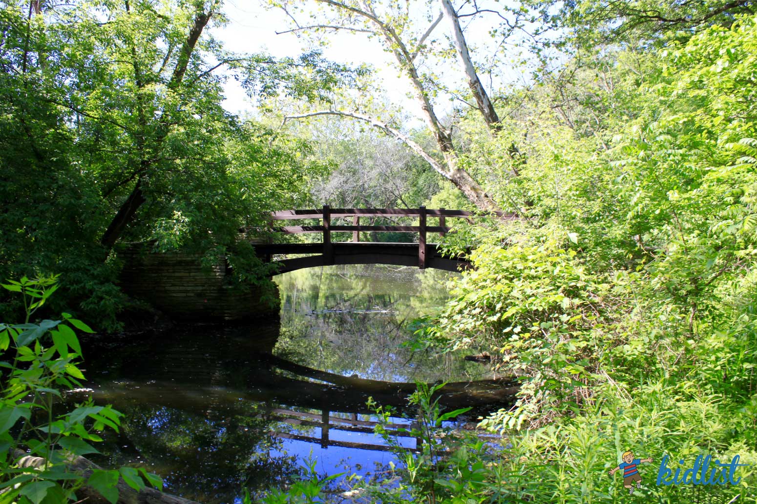 Insider's Guide to Fullersburg Woods and Graue Mill and Museum