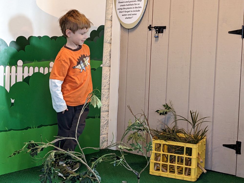 Child creating a habitat out of branches inside the Spring Valley nature center.