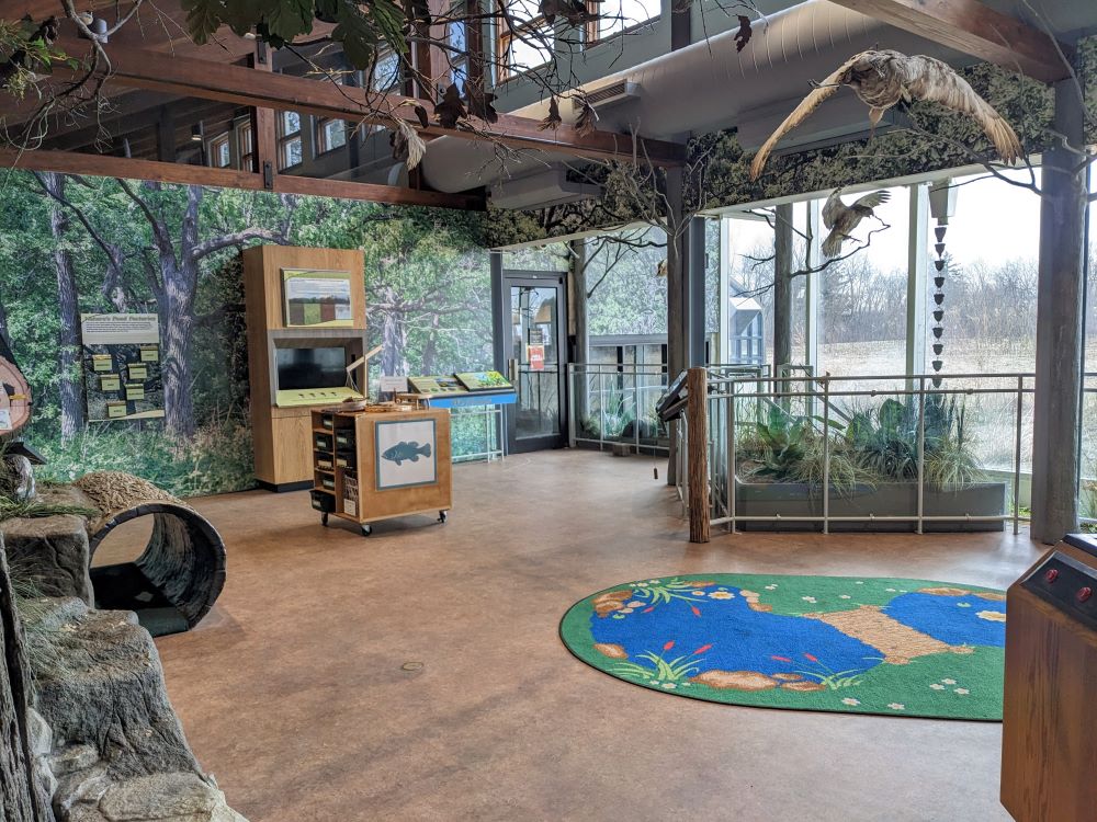 Indoor nature center with nature displays, taxidermied birds, and turtle enclosure with grasses.
